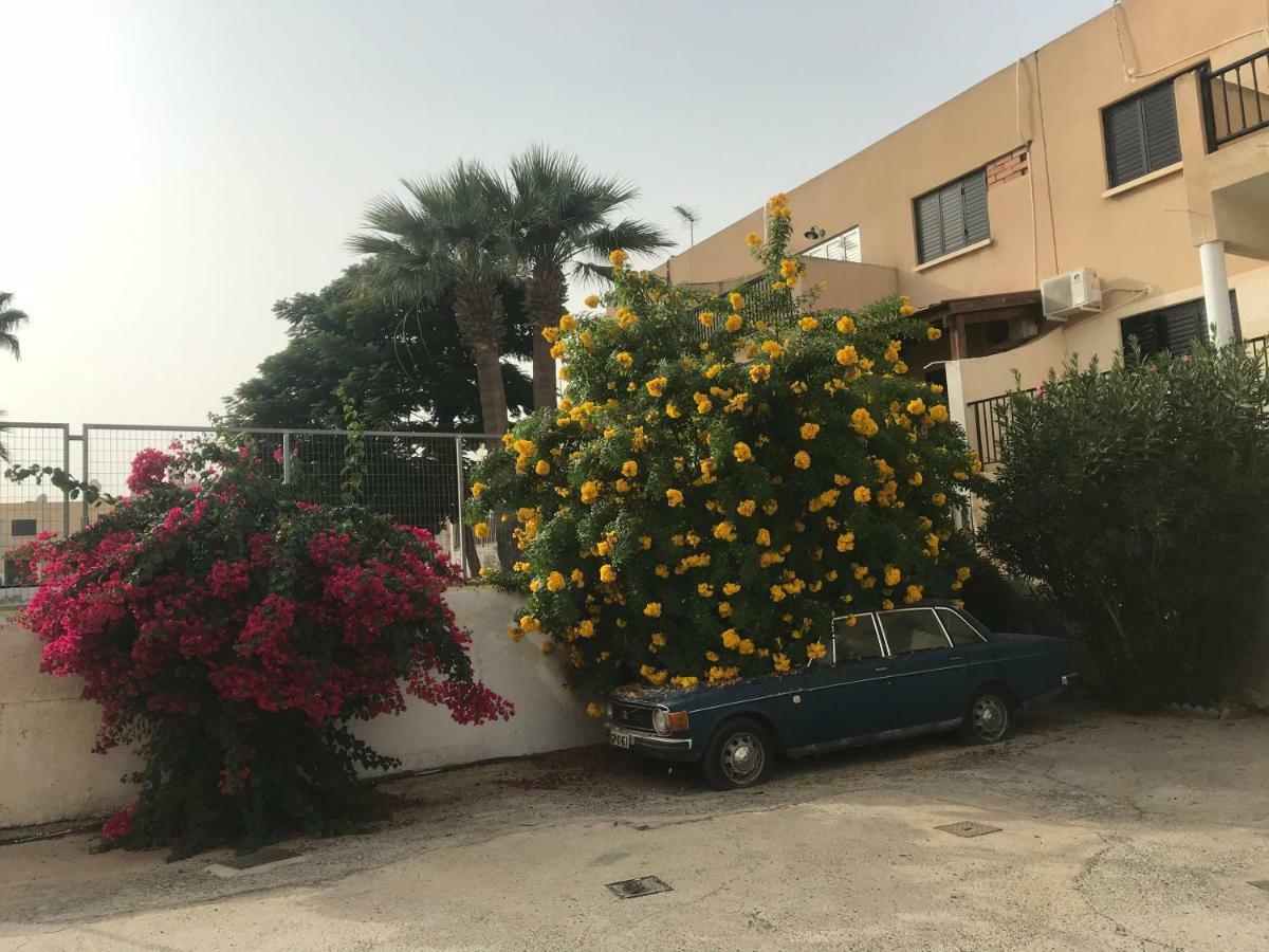 Theodoros Apt. 408 Protarász Kültér fotó